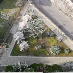 P1020438